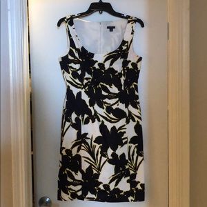Ann Taylor work dress
